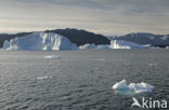 Greenland