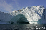 Greenland