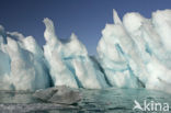 Greenland