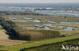 Harderbroek