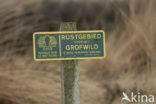 National Park De Hoge Veluwe