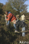 Nationaal Park Veluwezoom