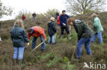 Nationaal Park Veluwezoom