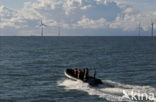 Offshore Windpark Egmond aan Zee OWEZ