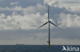 Offshore Windpark Egmond aan Zee OWEZ