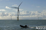 Offshore Windpark Egmond aan Zee OWEZ