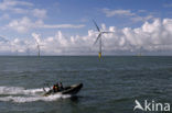 Offshore Windpark Egmond aan Zee OWEZ