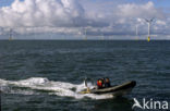 Offshore Windpark Egmond aan Zee OWEZ