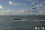 Offshore Windpark Egmond aan Zee OWEZ