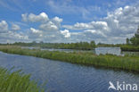 Tienhovense plassen