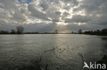 IJssel