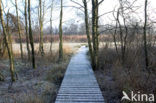Nationaal Park De Alde Feanen