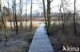 Nationaal Park De Alde Feanen