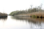 Nationaal Park De Alde Feanen