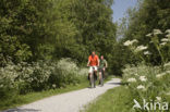 National Park De Alde Feanen