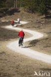 National Park Drents-Friese Wold