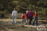 Nationaal Park Drents-Friese Wold