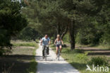 National Park Dwingelderveld