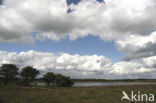 Nationaal Park Dwingelderveld