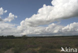 Nationaal Park Dwingelderveld