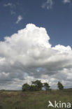 Nationaal Park Dwingelderveld