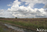 Nationaal Park Dwingelderveld