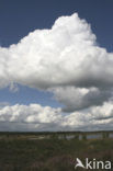 Nationaal Park Dwingelderveld