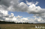 Nationaal Park Dwingelderveld