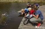 National Park Dwingelderveld