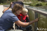 Nationaal Park Dwingelderveld