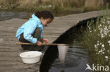 Nationaal Park Dwingelderveld