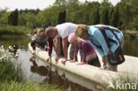 Nationaal Park Dwingelderveld