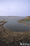 National Park Lauwersmeer