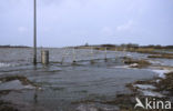 Nationaal Park Lauwersmeer