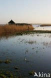 National Park Lauwersmeer