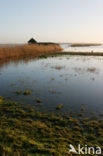 National Park Lauwersmeer