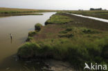 Nationaal Park Oosterschelde