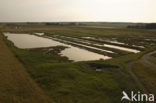 National Park Oosterschelde