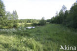 Rospuda Valley