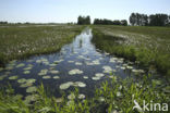 Schraallanden langs de Meije