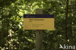 Slot Haamstede