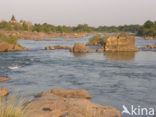 Betwa river