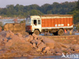 Betwa river