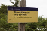 Bloemdijken van Zuid-Beveland