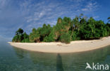 Lankayan island