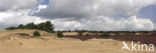 National Park Drents-Friese Wold