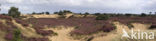 National Park Drents-Friese Wold