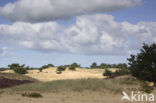 National Park Drents-Friese Wold