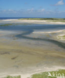 Nationaal Park Duinen van Texel 