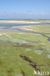 National Park Duinen van Texel 